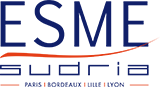 logo-esme.160.87.s
